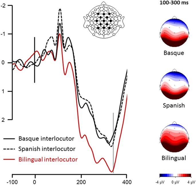 The Proactive Bilingual Brain Using Interlocutor Identity To Generate Predictions For Language Processing Scientific Reports