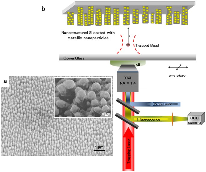 Plasmon enhanced optical tweezers with gold-coated black silicon