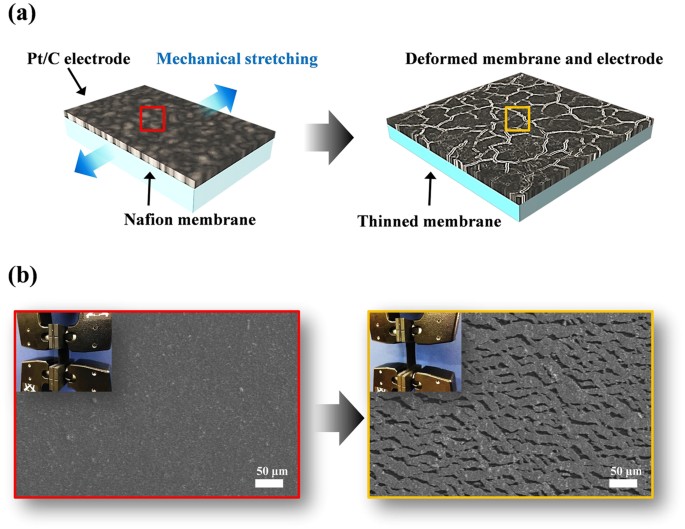 High-performance Fuel Cell with Stretched Catalyst-Coated Membrane:  One-step Formation of Cracked Electrode | Scientific Reports