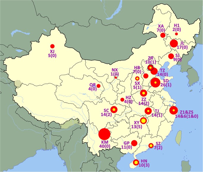 Diverse Genetic Background Of Multidrug Resistant Pseudomonas Aeruginosa From Mainland China And Emergence Of An Extensively Drug Resistant St292 Clone In Kunming Scientific Reports