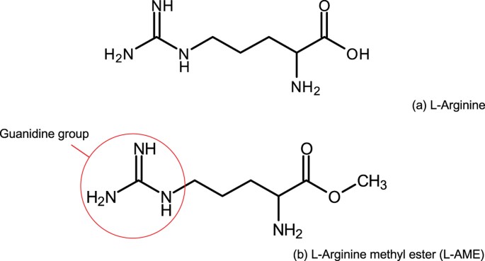 A Material Conferring Hemocompatibility Scientific Reports