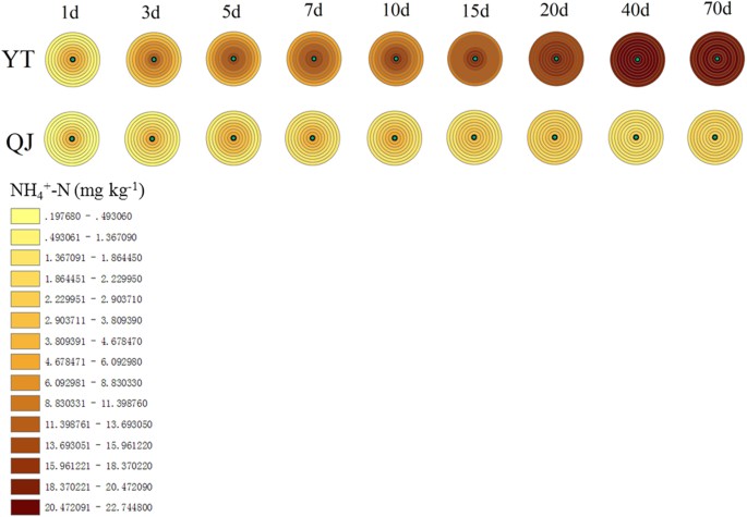Microprofiling Of Nitrogen Patches In Paddy Soil Analysis Of Spatiotemporal Nutrient Heterogeneity At The Microscale Scientific Reports