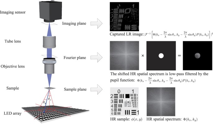 Fourier ptychographic reconstruction using Poisson maximum likelihood and  truncated Wirtinger gradient | Scientific Reports