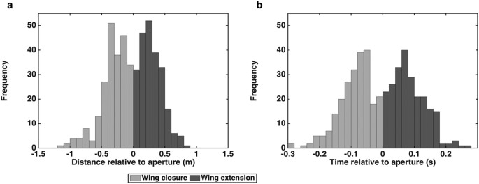 Anticipatory Manoeuvres In Bird Flight Scientific Reports