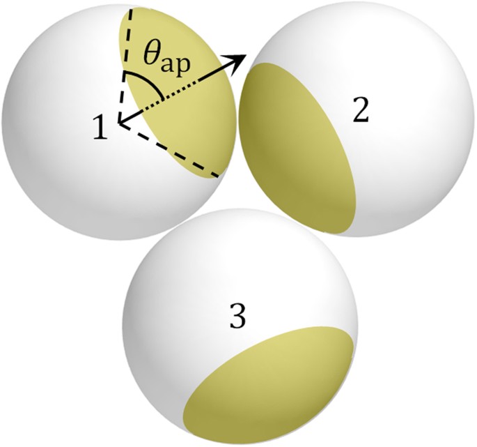 Spatial confinement governs orientational order in patchy particles