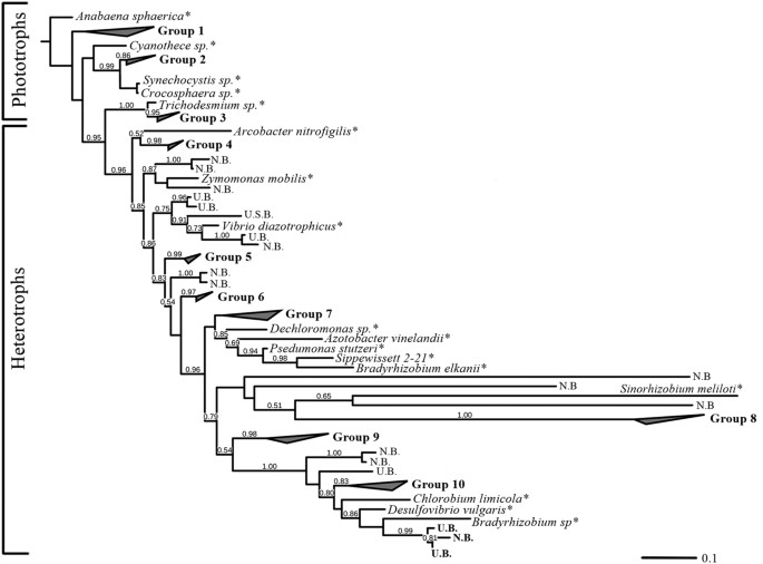 Contribution Of Mono And Polysaccharides To Heterotrophic N 2 Fixation At The Eastern Mediterranean Coastline Scientific Reports