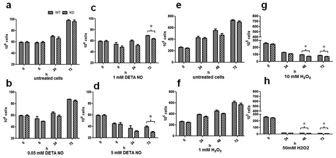 MRA_1571 is required for isoleucine biosynthesis and improves Mycobacterium  tuberculosis H37Ra survival under stress | Scientific Reports