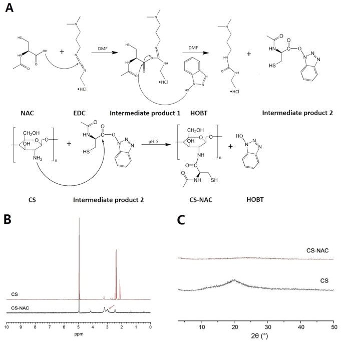 Potential Advantages Of A Novel Chitosan N Acetylcysteine Surface Modified Nanostructured Lipid Carrier On The Performance Of Ophthalmic Delivery Of Curcumin Scientific Reports