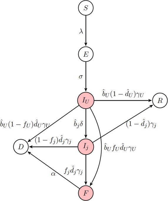 The role of interconnectivity in control of an ebola epidemic