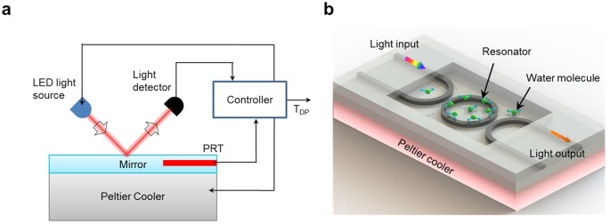 An ultrahigh-accuracy Miniature Dew Point Sensor based on an Integrated  Photonics Platform | Scientific Reports