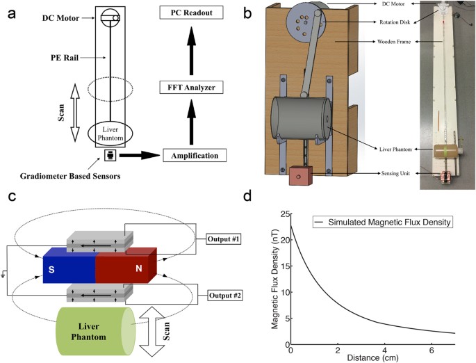 A Room Temperature Ultrasensitive Magnetoelectric Susceptometer For Quantitative Tissue Iron Detection Scientific Reports