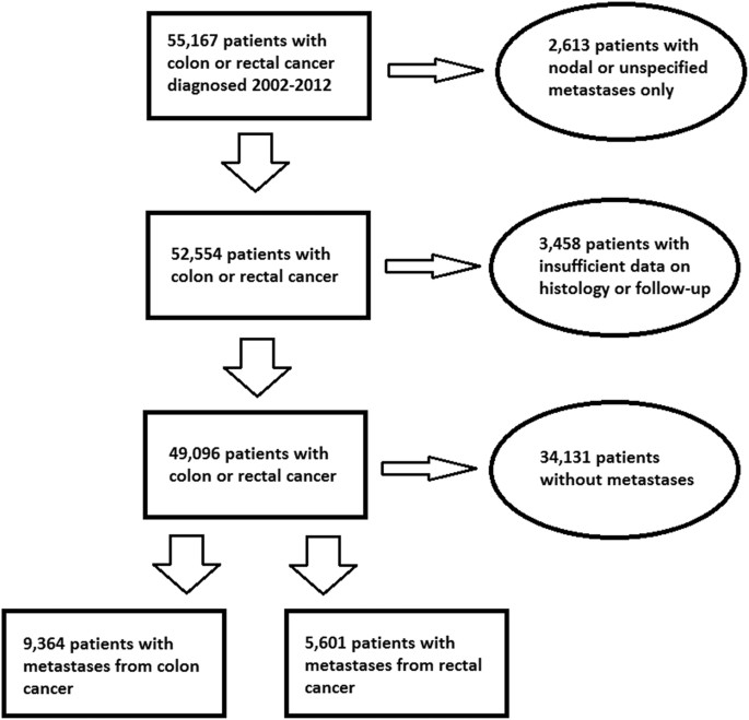 Pathophysiology Of Cancer In Flow Chart