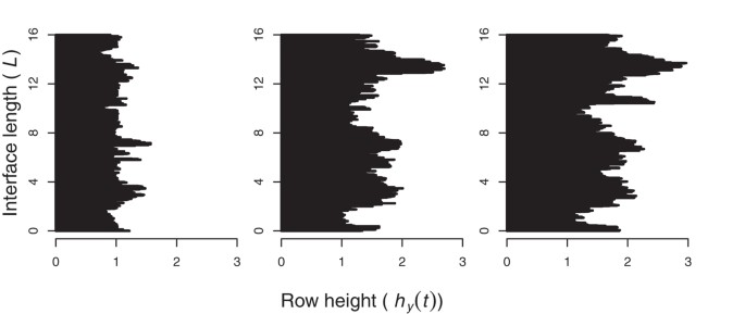 Spatial competition: roughening of an experimental interface