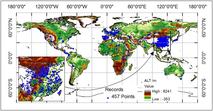 Mapping The Climatic Suitable Habitat Of Oriental Arborvitae Platycladus Orientalis For Introduction And Cultivation At A Global Scale Scientific Reports