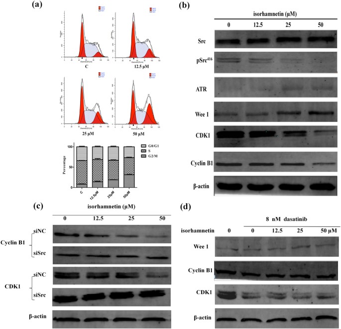 Correction: Corrigendum: Characterization of anti-leukemia components from Indigo naturalis using comprehensive two-dimensional K562/cell membrane chromatography and in silico target identification
