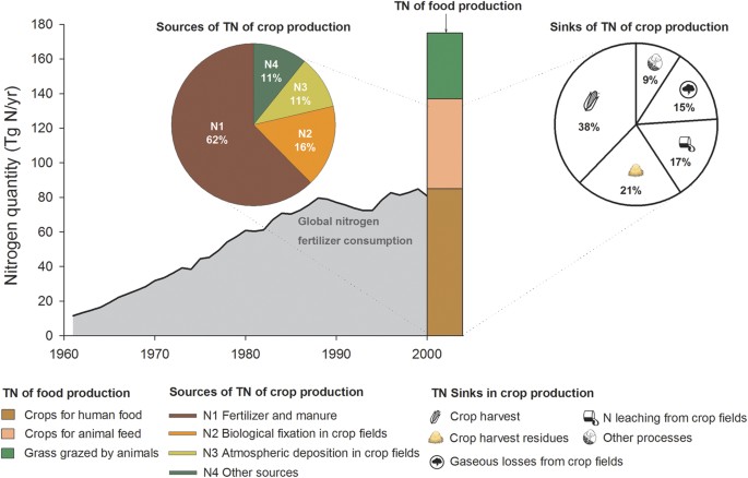 Reducing human nitrogen use for food production | Scientific Reports