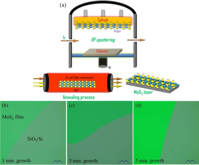 Shock-Absorbing and Failure Mechanisms of WS2 and MoS2 Nanoparticles with  Fullerene-like Structures under Shock Wave Pressure