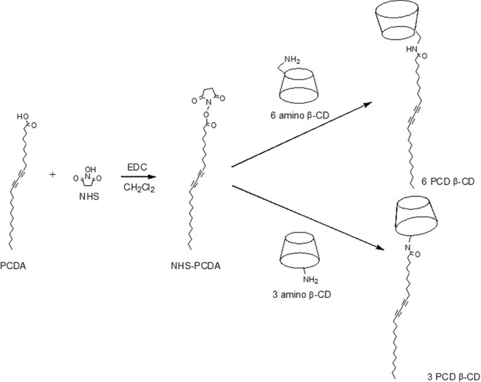 Polydiacetylenyl B Cyclodextrin Based Smart Vesicles For Colorimetric Assay Of Arginine And Lysine Scientific Reports