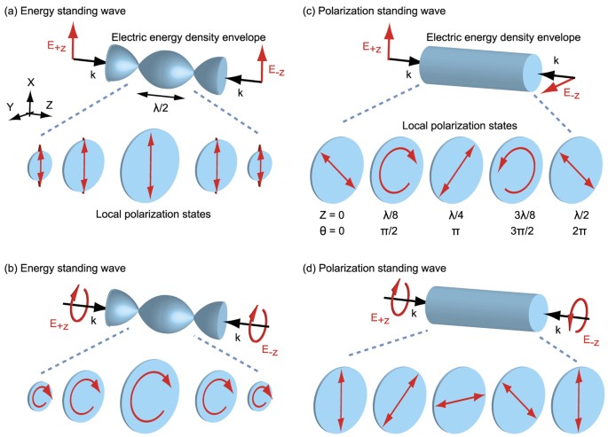 Coherent control of light-matter interactions in polarization standing  waves | Scientific Reports