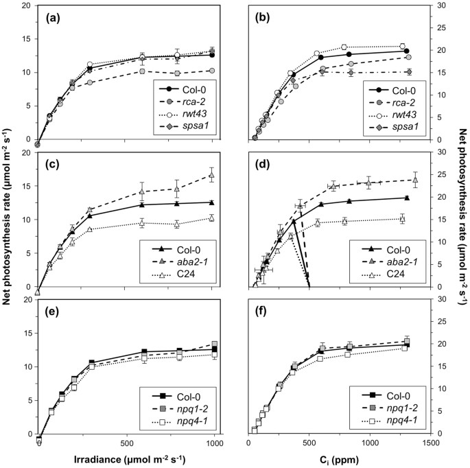 Metabolic And Diffusional Limitations Of Photosynthesis In Fluctuating Irradiance In Arabidopsis Thaliana Scientific Reports