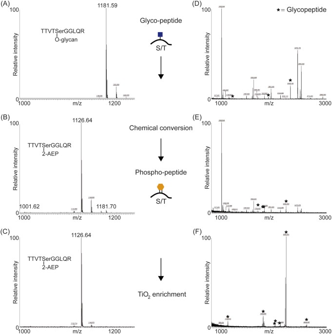 A novel mass spectrometric strategy “bemap” reveals extensive o-linked protein glycosylation in enterotoxigenic escherichia coli