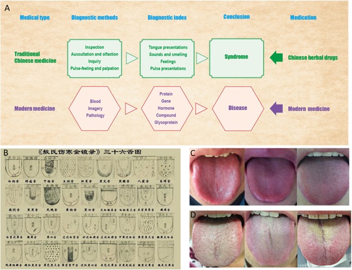 Bacillus as a potential diagnostic marker for yellow tongue