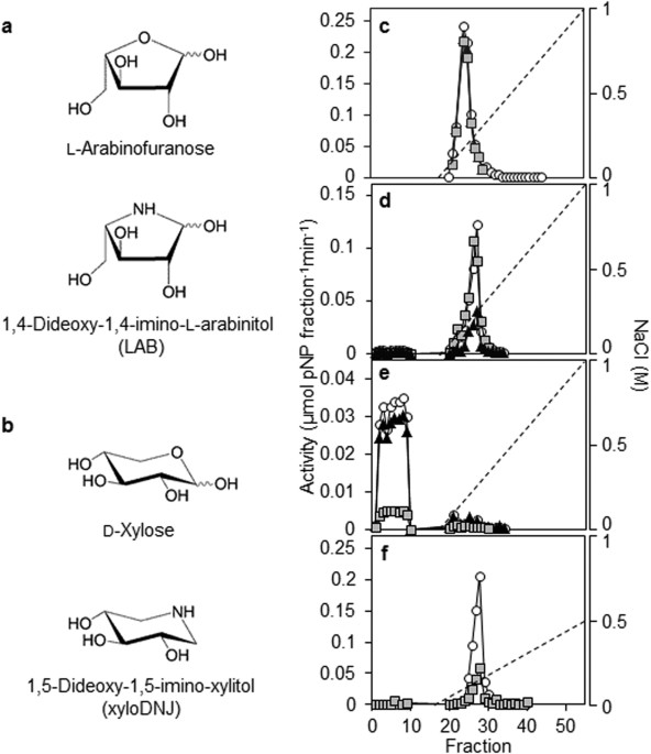 Cell Wall Degradation Is Required For Normal Starch Mobilisation In Barley Endosperm Scientific Reports