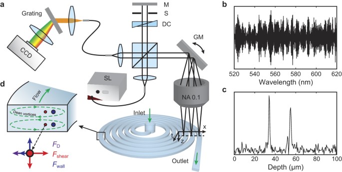 Real-time Functional Analysis of Inertial Microfluidic Devices via Spectral  Domain Optical Coherence Tomography | Scientific Reports