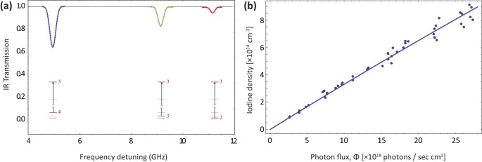 High Steady State Column Density Of I 2p3 2 Atoms From I2 Photodissociation At 532 Nm Towards Parity Non Conservation Measurements Scientific Reports