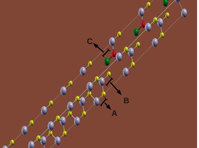 An ab initio study of the polytypism in inp