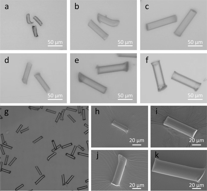 Brazilian group presents novel method of analyzing microplastic