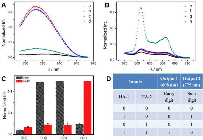 Fluorescence spectra of NMM-probe DNA after incubation with varying