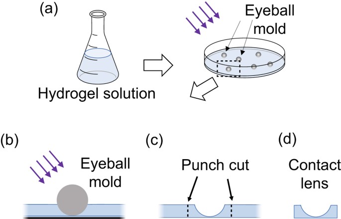Fabricating customized hydrogel contact lens | Scientific Reports