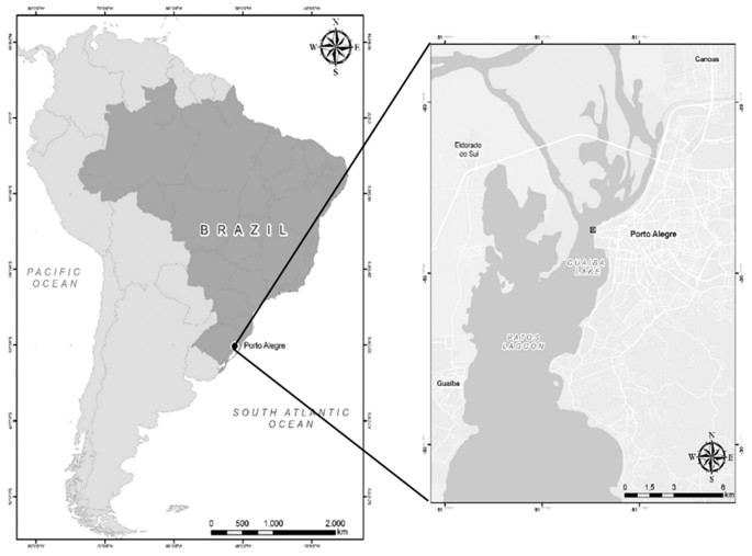 A New Marseillevirus Isolated In Southern Brazil From Limnoperna Fortunei Scientific Reports
