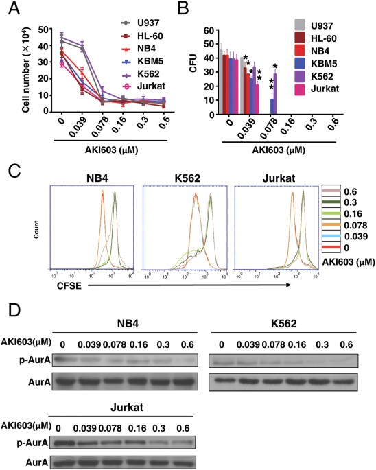 Aurora a kinase inhibitor aki603 induces cellular senescence in chronic myeloid leukemia cells harboring t315i mutation