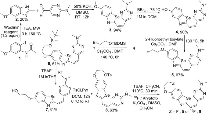 Fluselenamyl A Novel Benzoselenazole Derivative For Pet Detection Of Amyloid Plaques Ab In Alzheimer S Disease Scientific Reports