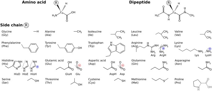 Trends for isolated amino acids and dipeptides: Conformation, divalent ion  binding, and remarkable similarity of binding to calcium and lead |  Scientific Reports