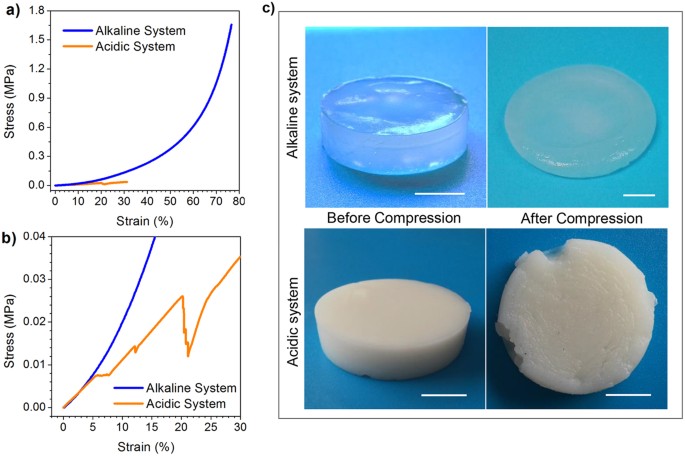 Difference between Chitosan Hydrogels via Alkaline and Acidic Solvent  Systems | Scientific Reports