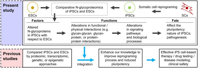 Glycoproteomics  Nature Reviews Methods Primers