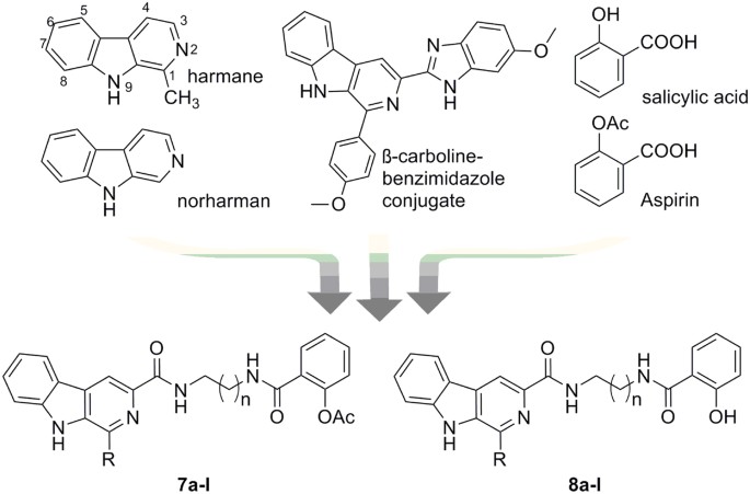 Design Synthesis And Biological Evaluation Of Hybrids Of B Carboline And Salicylic Acid As Potential Anticancer And Apoptosis Inducing Agents Scientific Reports