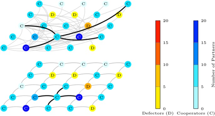 Coevolution Of Cooperation And Partner Rewiring Range In Spatial Social  Networks | Scientific Reports Coevolution Of Cooperation And Partner Rewiring Range In Spatial Social  Networks | Scientific Reports