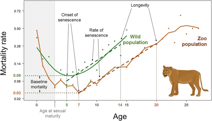 Comparative analyses of longevity and senescence reveal variable survival  benefits of living in zoos across mammals | Scientific Reports