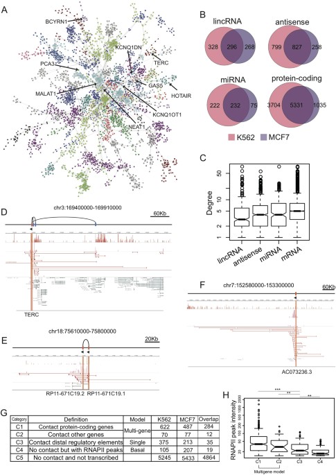 A Comprehensive Characterization Of The Function Of Lincrnas In Transcriptional Regulation Through Long Range Chromatin Interactions Scientific Reports A Comprehensive Characterization Of The Function Of Lincrnas In Transcriptional Regulation Through Long Range Chromatin Interactions Scientific Reports