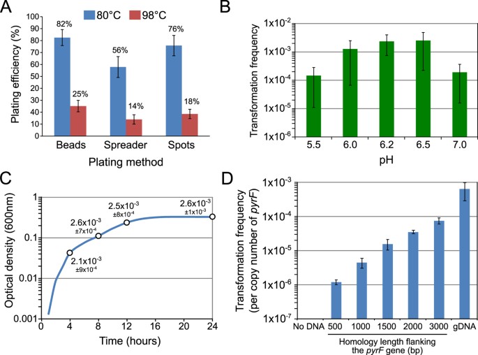 Random Mutagenesis Of The Hyperthermophilic Archaeon Pyrococcus Furiosus Using In Vitro Mariner Transposition And Natural Transformation Scientific Reports natural transformation