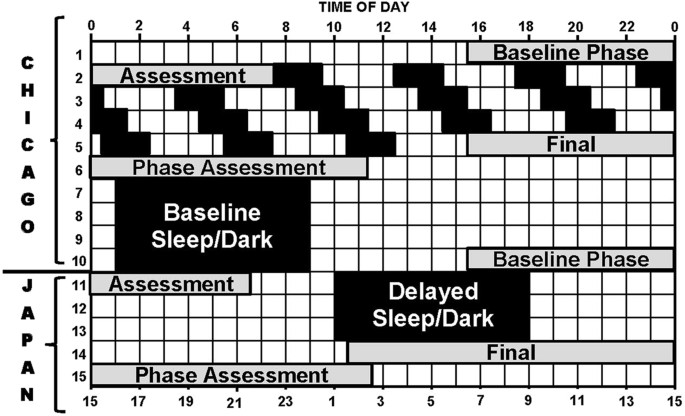 black & white, move, day and night, positive & negative, rhythm