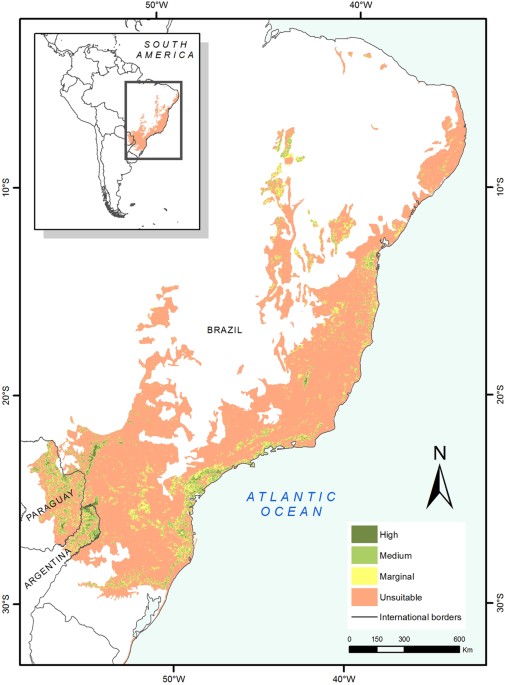 Atlantic Forests, South America