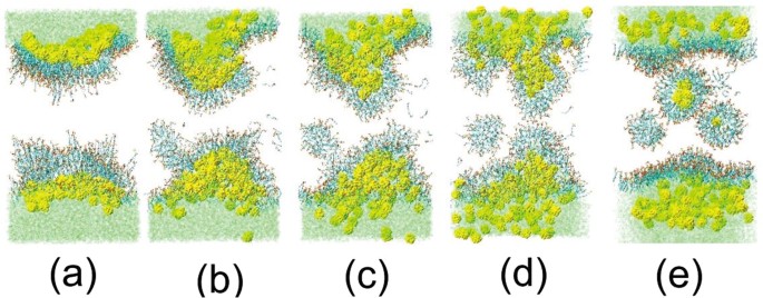 The Structure And Dynamics Of Nano Particles Encapsulated By The Sds Monolayer Collapse At The Water Tce Interface Scientific Reports