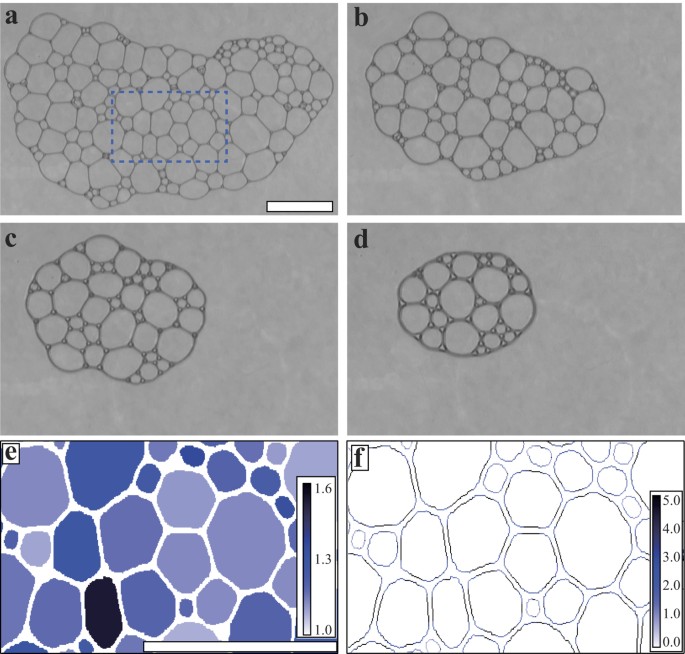 Close relationship between a dry-wet transition and a bubble rearrangement  in two-dimensional foam