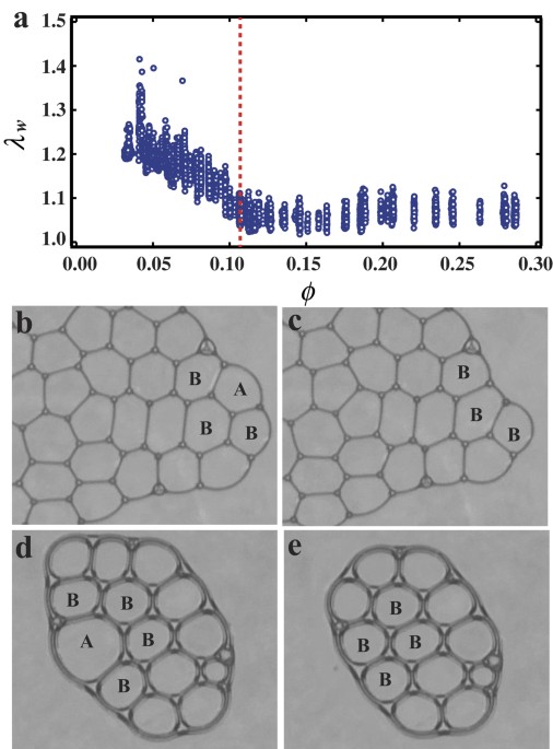 Close relationship between a dry-wet transition and a bubble rearrangement  in two-dimensional foam