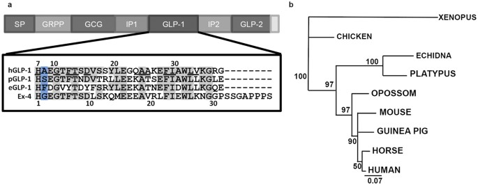 is there venom in glp-1 Monotreme glucagon-like peptide-1 in venom and gut: one gene – two very  different functions